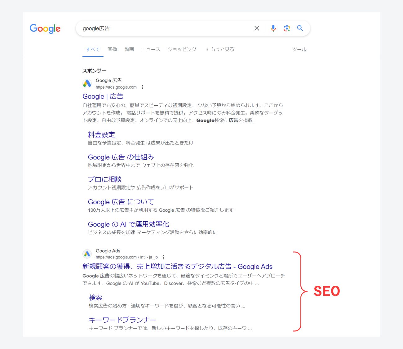 Google広告、SEOの掲載例のキャプチャ