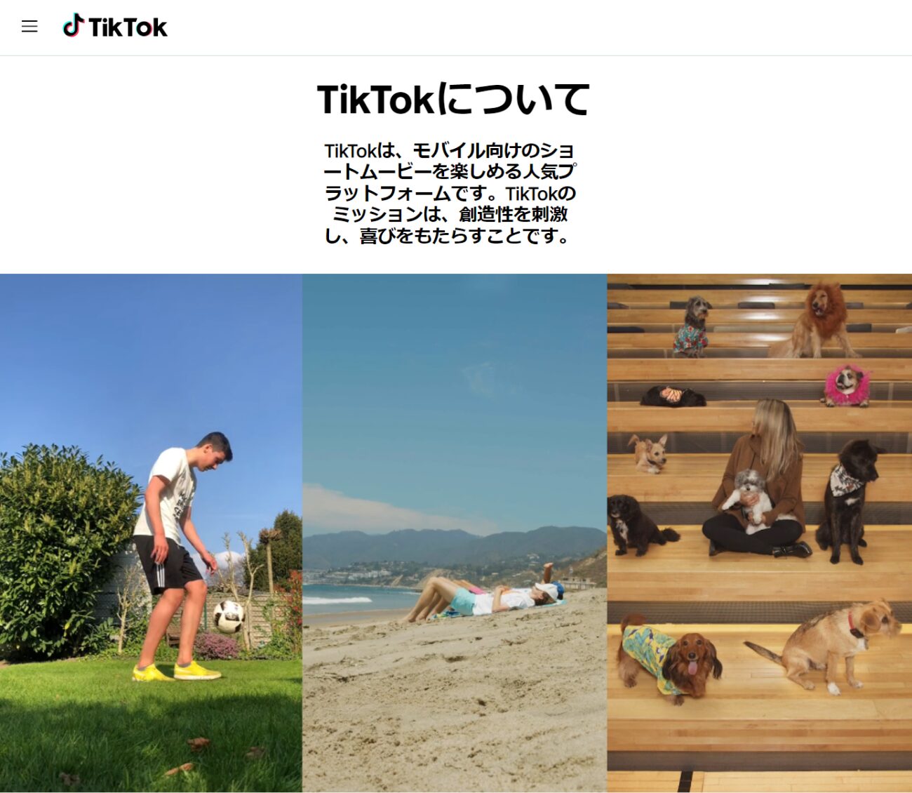 TikTok、ウェブサイトのキャプチャ
